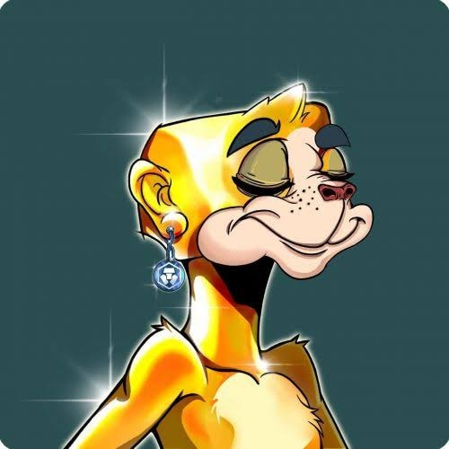 Meerkat #333